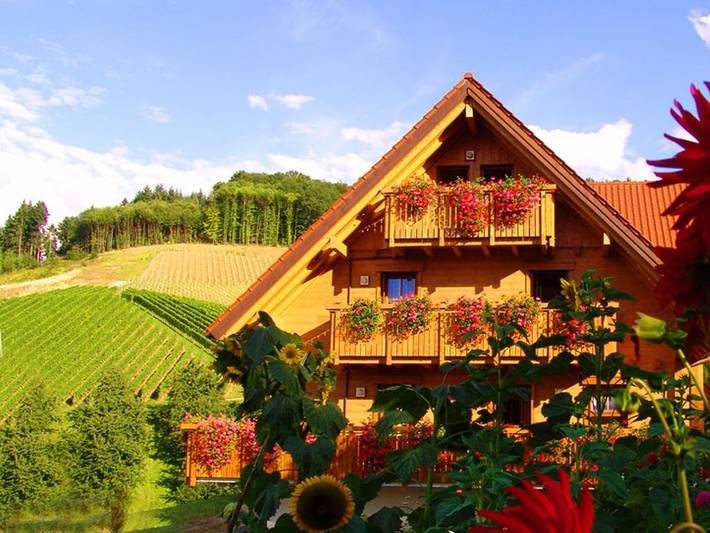 Ferienhaus für 2 Personen, mit Terrasse in Oberkirch - 4
