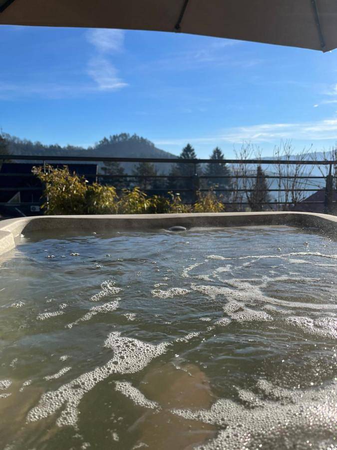 Location de vacances pour 2 personnes, avec piscine et jacuzzi ainsi que sauna et jardin dans Mureș - 3