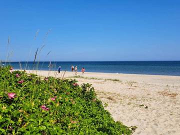 Ferienhaus für 5 Personen in Sydals, Skovmose, Bild 4