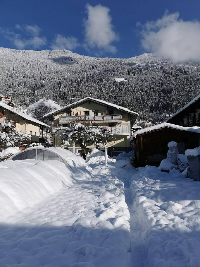 Ferienwohnung für 4 Personen, mit Garten und Sauna sowie Pool, mit Haustier im Ötztal - 3