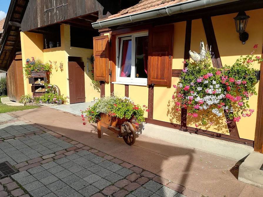 Gîte Alsace, Logis Salomé in Plobsheim, Région de Strasbourg