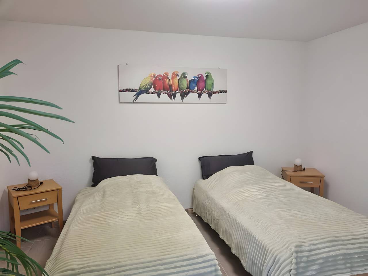 Estudio entero, Estudio 'Cerca del Rin' con Wi-Fi in Bad Säckingen, Selva Negra (zona sur)
