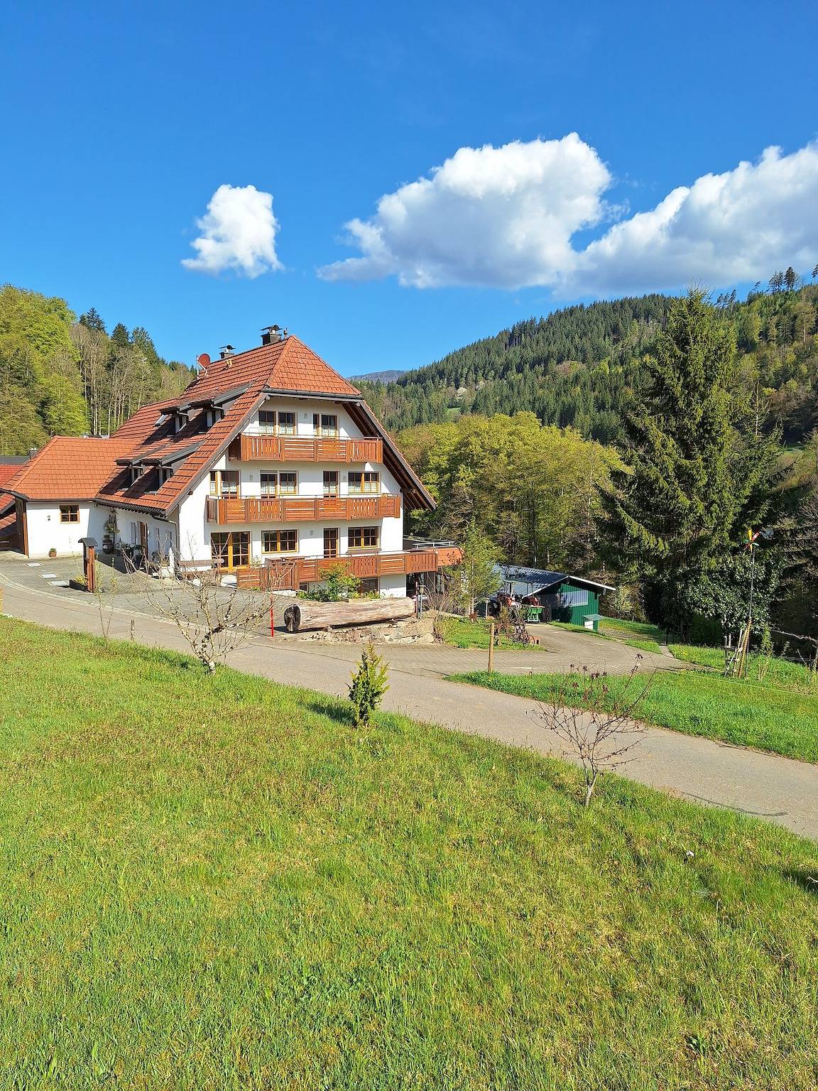 Ganze Ferienwohnung, Haus Bauer - Ferienwohnung Orchidee in Schönau im Schwarzwald, Südschwarzwald