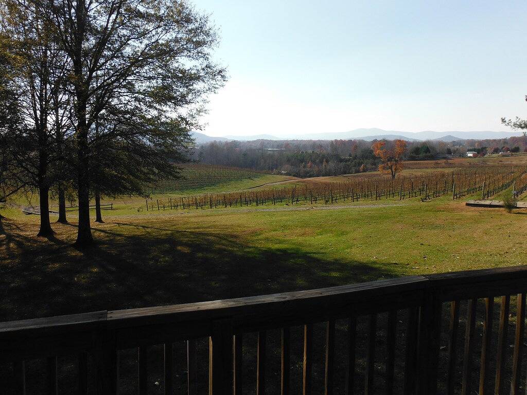 Haustierfreundliche Miethütte im Herzen des Weinlandes in Surry County