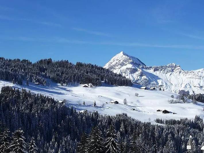 Gîte pour 4 personnes, avec balcon, animaux acceptés à Notre-Dame-de-Bellecombe - 3