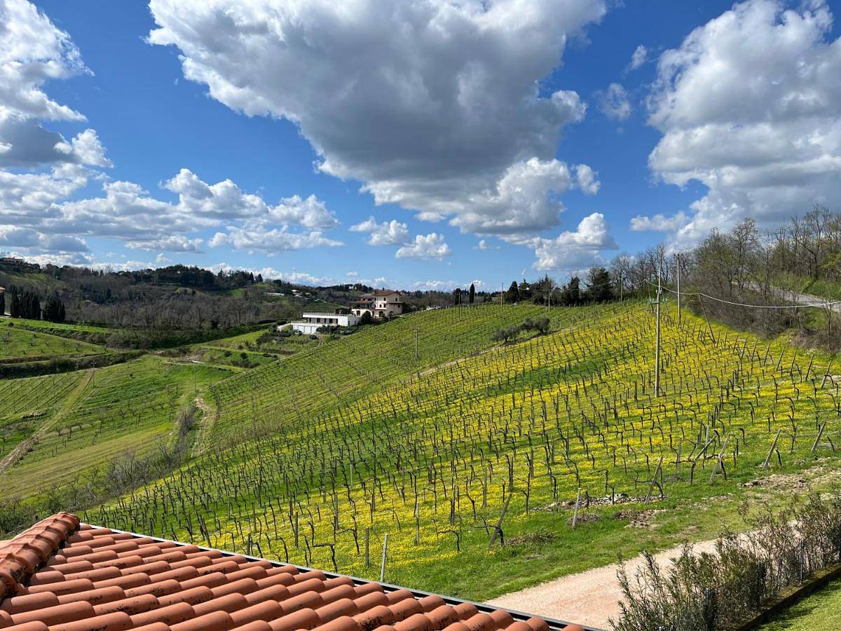 Podere Baratta agriturismo e cantina in Bertinoro, Provincia di Forlì-Cesena
