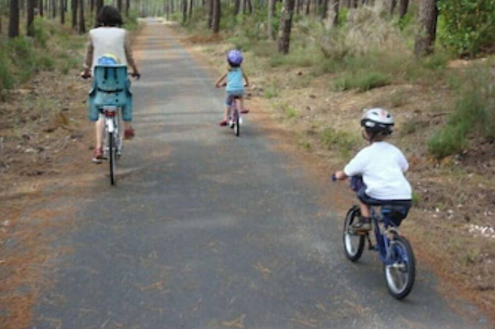Ganze Wohnung, Ruhig gelegen im Wald, 2 Minuten vom Strand- bis zum 4 P. Klima-Anlage Optional in Carcans Plage, Carcans