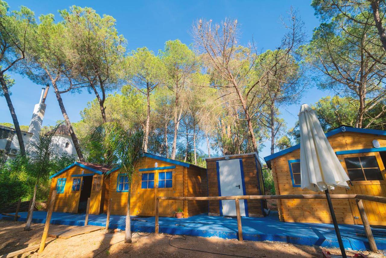 Zaluay - Habitaciones de madera in Isla Cristina, Costa de la Luz