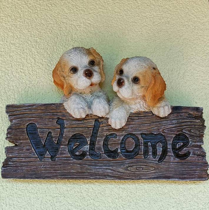 Location de vacances pour 4 personnes, avec vue ainsi que jardin et terrasse, animaux acceptés à Riolunato - 4