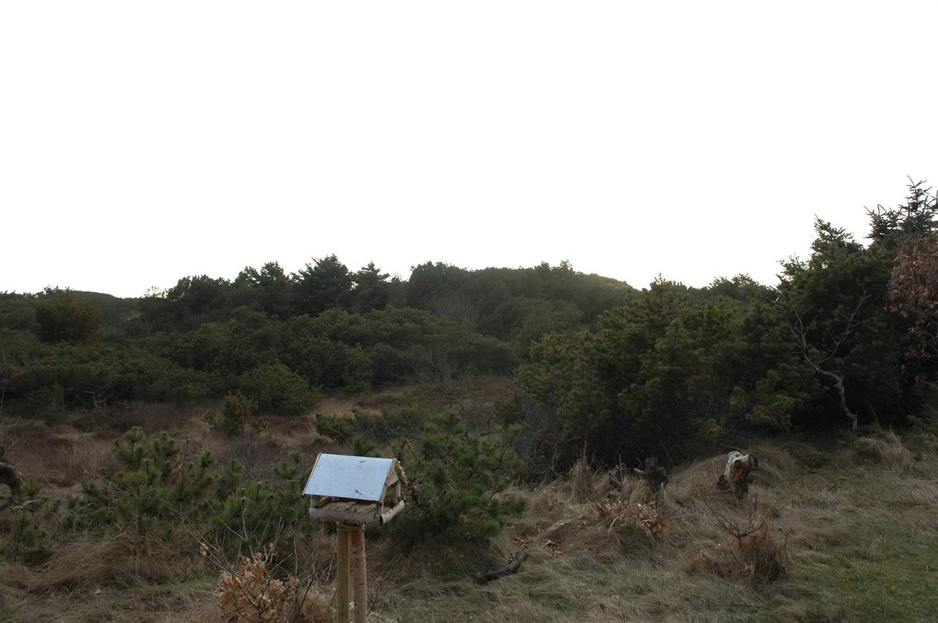 Stunning home in Oksbøl w/ 2 Bedrooms in Grærup, Varde