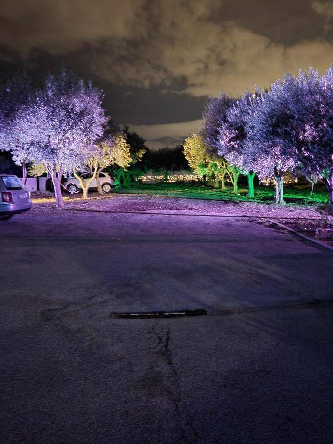 Hôtel pour 2 personnes, avec jardin et terrasse, animaux acceptés à Ercolano - 3