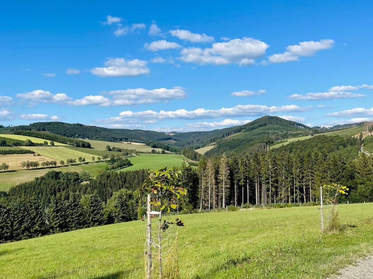 Ganze Wohnung, Ferienwohnung in Westfeld bei Winterberg mit Terrasse und Naturblick in Westfeld, Schmallenberg