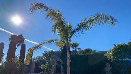 Maison De Vacances pour 12 Personnes dans Théoule-sur-Mer, Région de Cannes, Photo 3