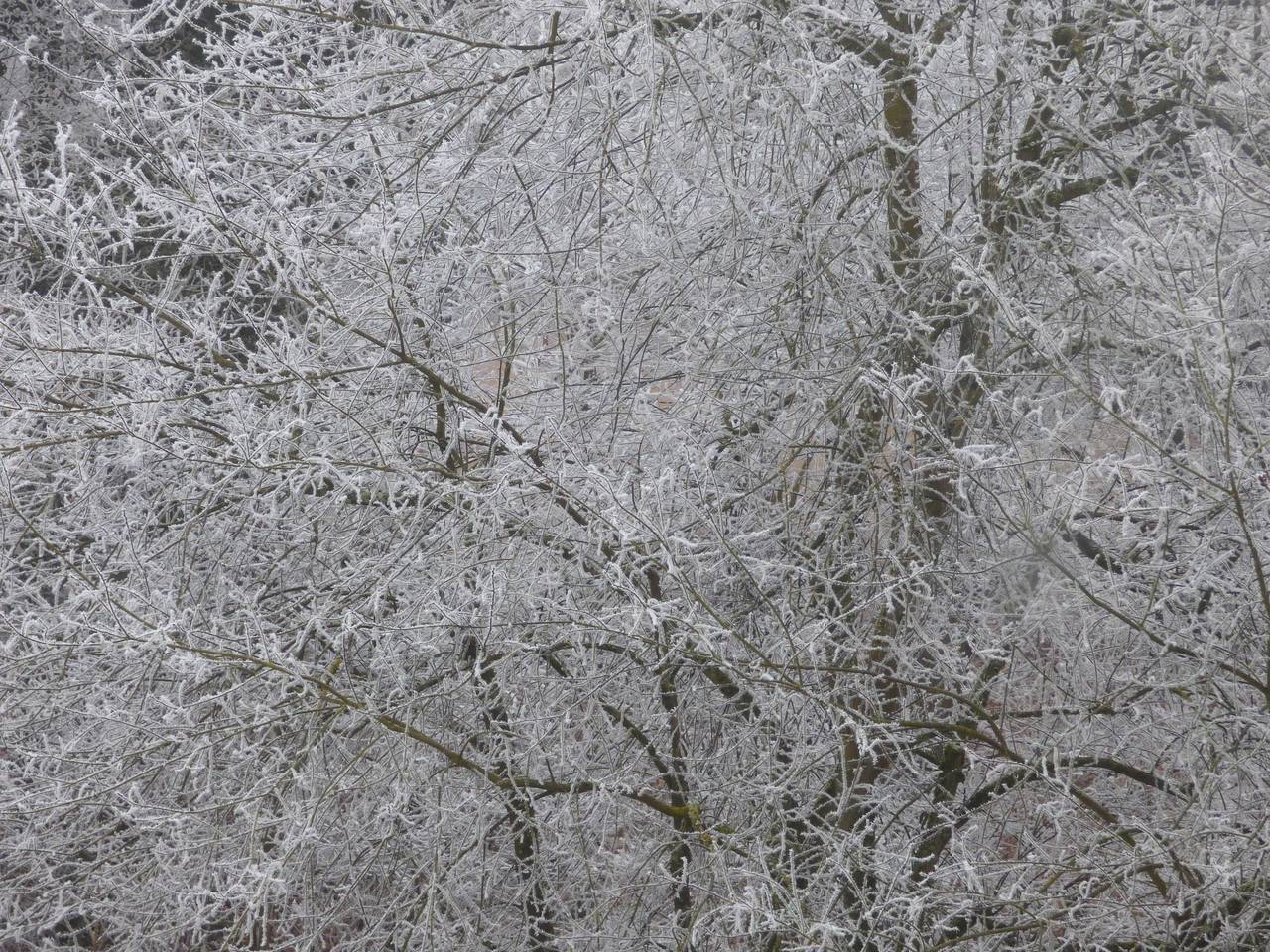 Ganze Ferienwohnung, Ferienwohnung Seeblick Nr 1 ,Feldberg Bärental in Suedlicher Schwarzwald, Feldberg