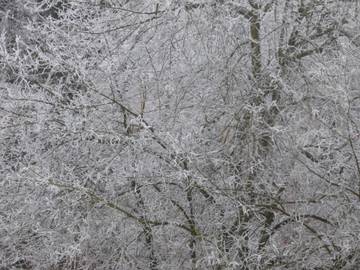 Appartement voor 8 Personen in Feldberg, Hoge Zwarte Woud, Afbeelding 4
