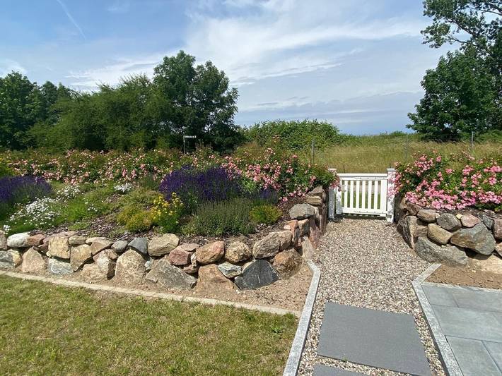 Ferienhaus für 12 Personen, mit Terrasse und Garten sowie Sauna in Rerik - 3