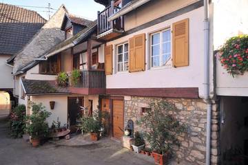 Location de vacances pour 9 personnes, avec terrasse et vue, animaux acceptés à Ingersheim