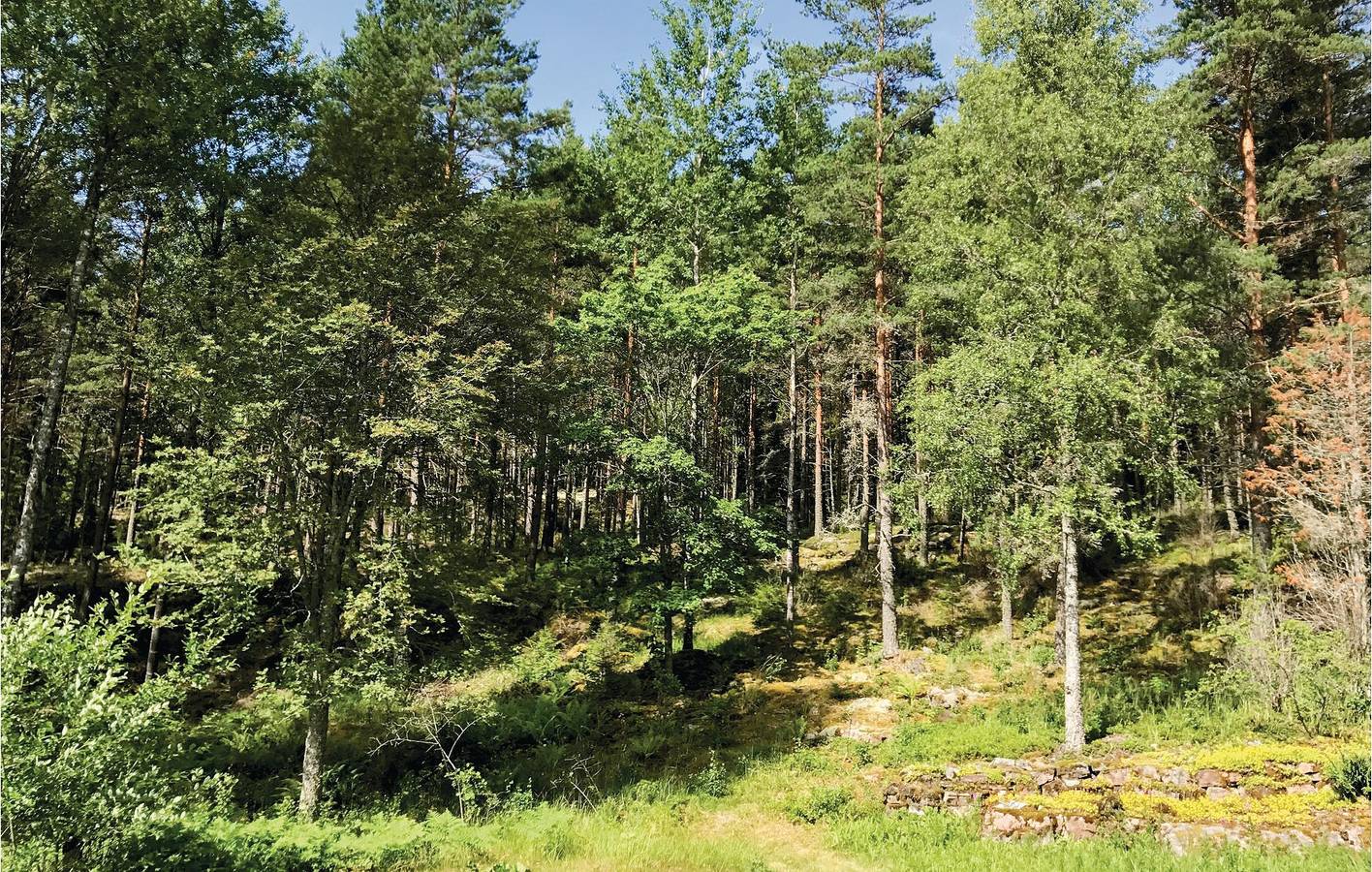 Ferienhaus für 4 Personen mit Garten in Dalslands Kanal