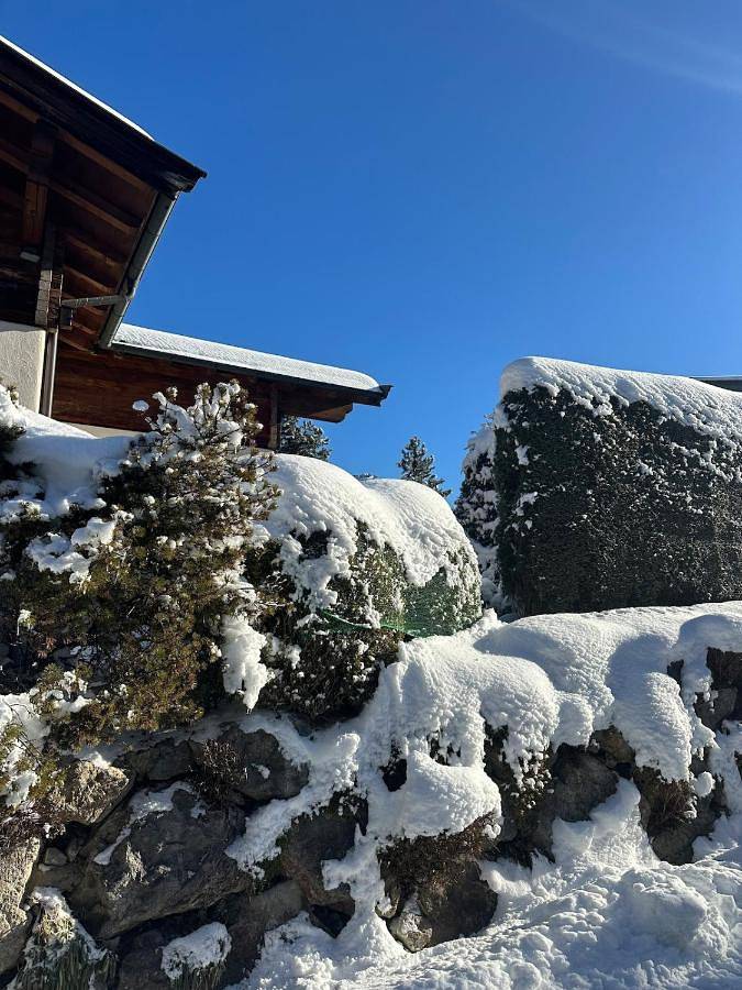 Fox Hole in Kitzbühel, Hohe Salve