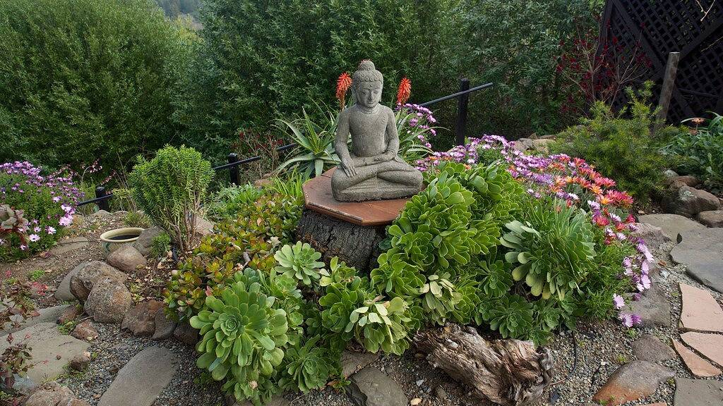 Kabine mit magischen, atemberaubenden Ausblicken in Orinda! Minuten in die Innenstadt von San Francisc in Orinda, Contra Costa County