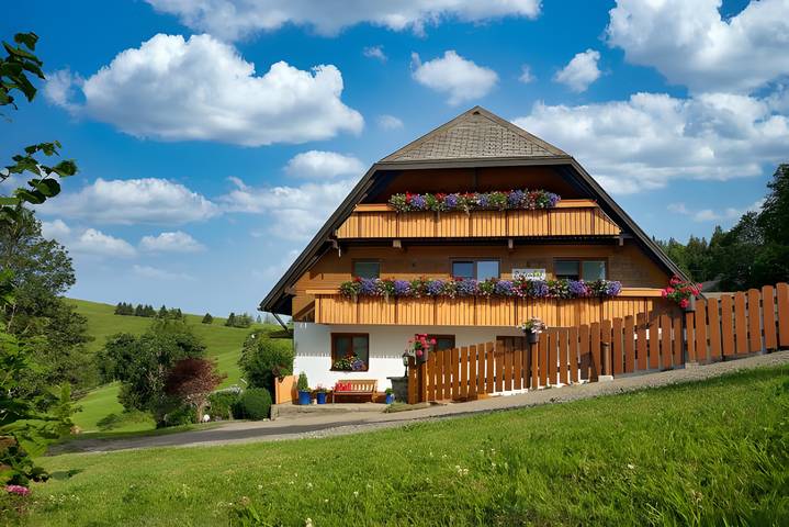 Ferienwohnung für 4 Personen, mit Garten in Münstertal