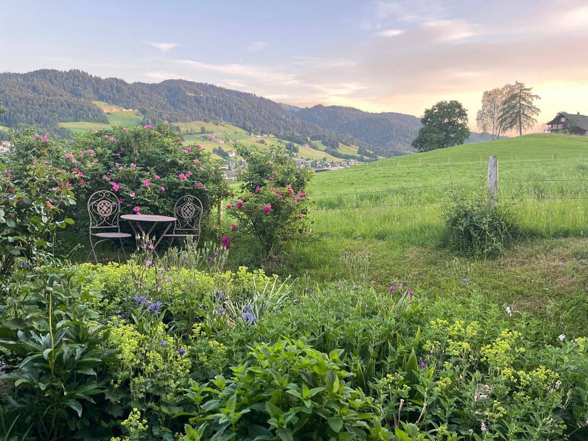 Ganze Wohnung, Urlaub in Alberschwende in Alberschwende, Bodensee-Vorarlberg