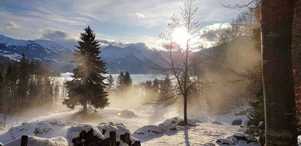 Ferienwohnung für 4 Personen, mit Balkon und Sauna sowie Ausblick in Meiringen - 4