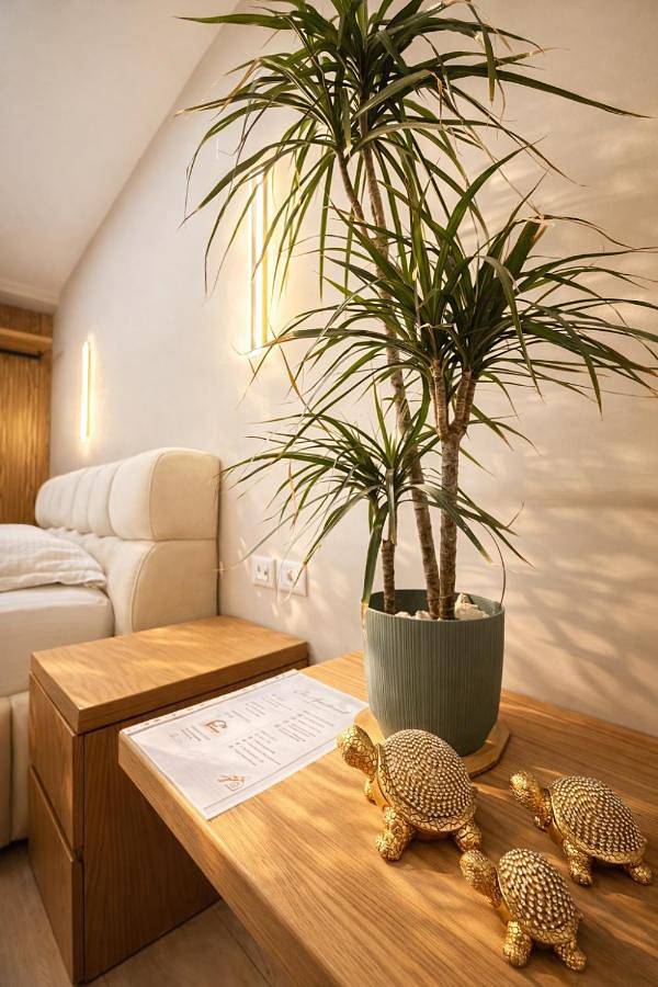 Maison d’hôte pour 2 personnes, avec balcon et vue à Tirana - 4