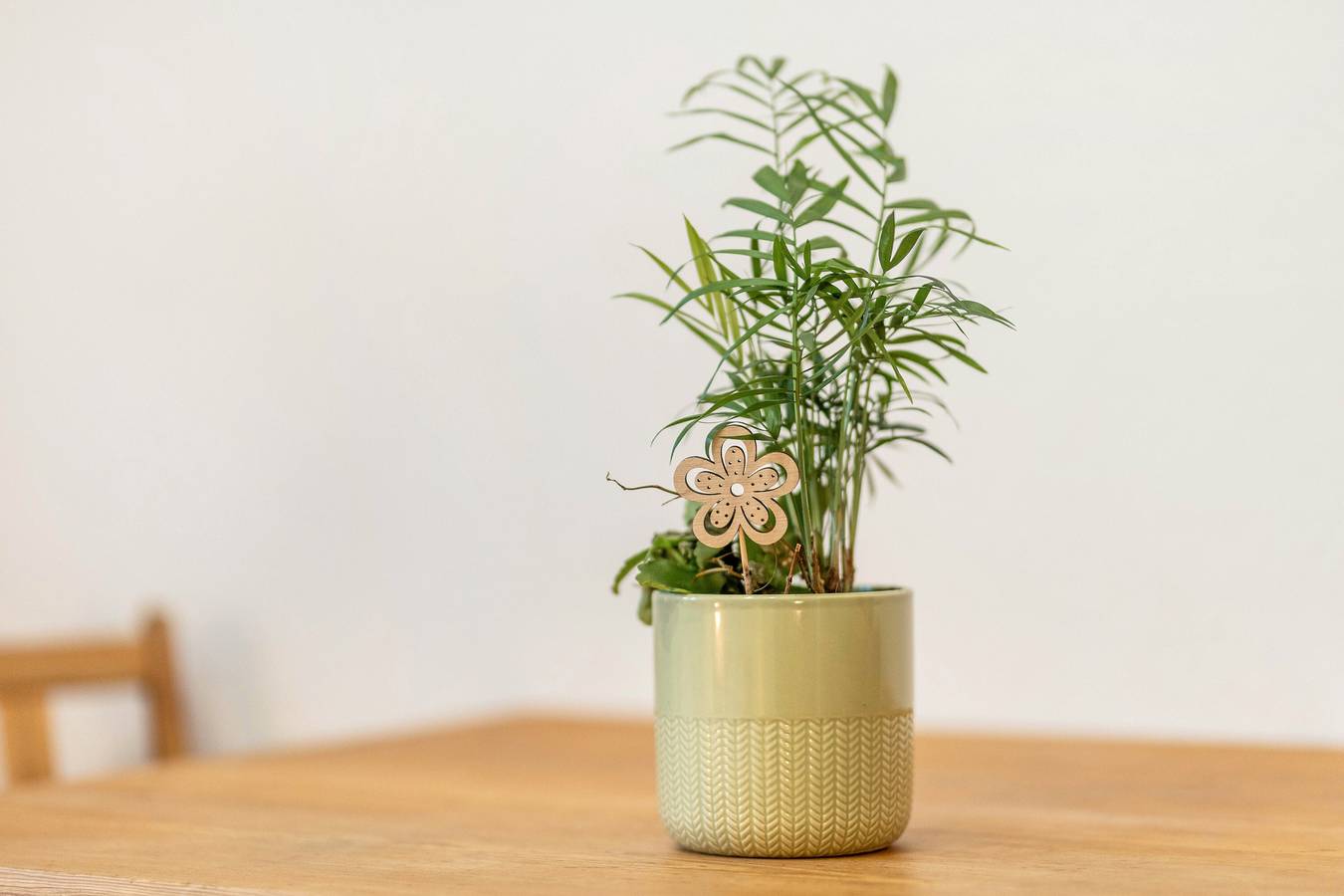 Ganze Wohnung, Apartment 'Zur Alten Post'  in Ulrichstein, Vogelsberg Region