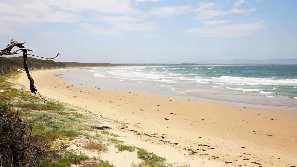 Sandy Feet Retreat - Pet Friendly - 1 Min Walk to Beach in Currarong, Jervis Bay