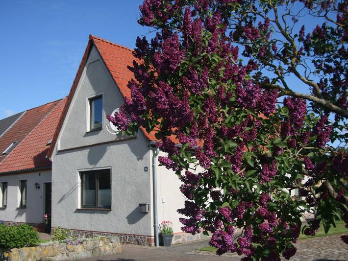 Ferienwohnung für 4 Personen, mit Garten und Terrasse in Biendorf - 3