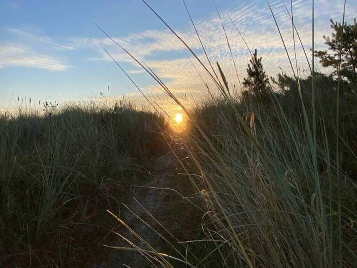 Ferienhaus für 5 Personen, mit Terrasse, kinderfreundlich in Marielyst - 4