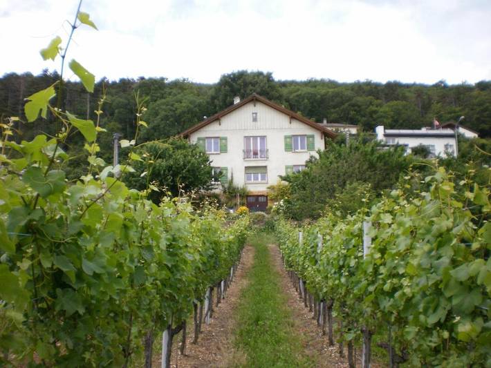 Location de vacances pour 6 personnes, avec Jacuzzi et Terrasse ainsi que Jardin et Vue sur le lac à Hauterive