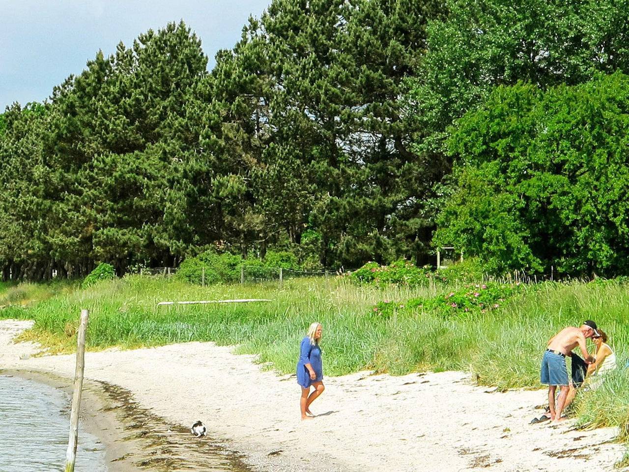 4 personer fritidhus i Askeby in Svenska Östersjön