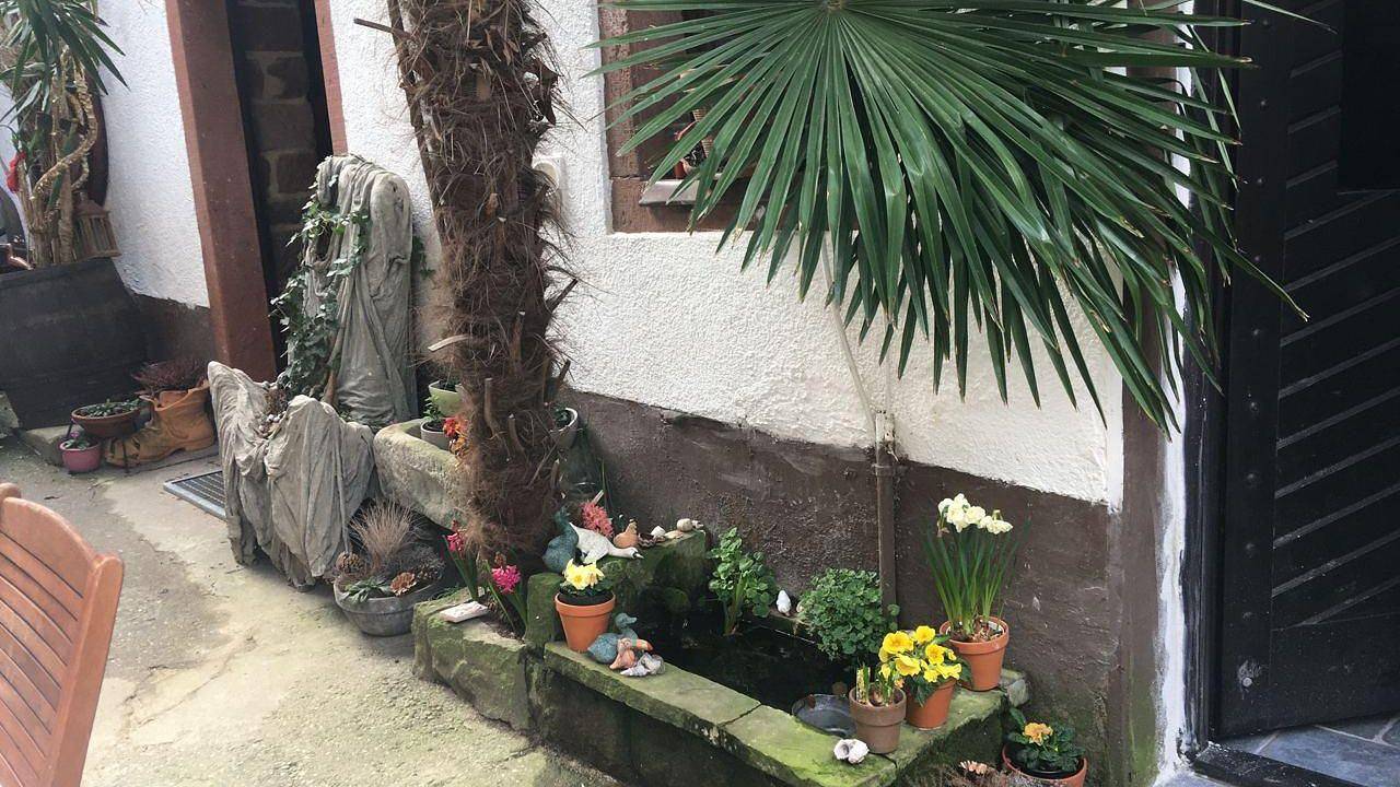 Ganze Ferienwohnung, Ferienwohnung für 3 Personen (53 m²) in Leinsweiler in Leinsweiler, Trifelsland