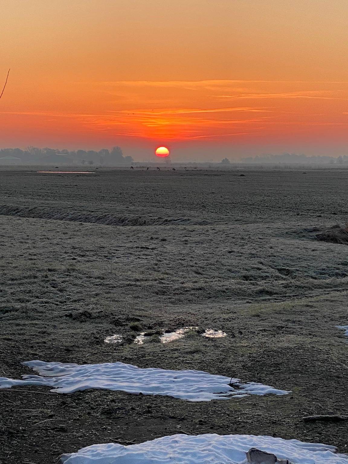 "Holumer Winkel", Köhntop - Ferienhaus in Groß Holum, Neuharlingersiel