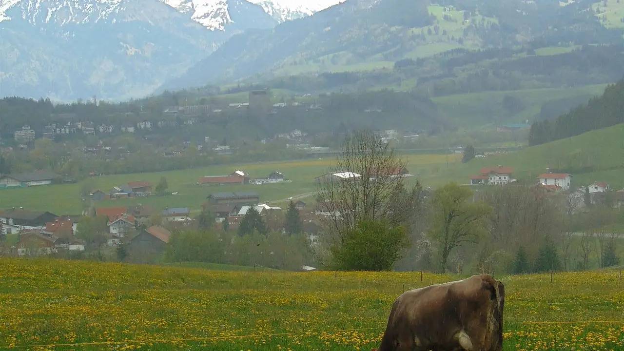 Ganze Ferienwohnung, Ferienwohnung für 3 Personen (60 m²) in Ofterschwang in Ofterschwang, Bayerisch Schwaben
