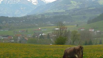 Hütte für 6 Personen in Ofterschwang, Hörnerdörfer, Bild 4