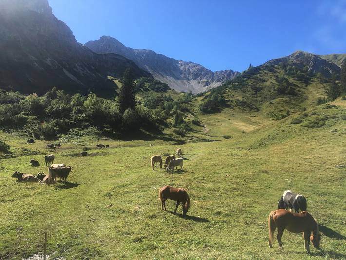 Ferienwohnung für 7 Personen, mit Garten, mit Haustier in Bad Hindelang - 3