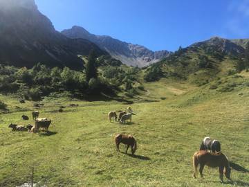 Ferienwohnung für 2 Personen in Bad Hindelang, Allgäuer Alpen, Bild 2
