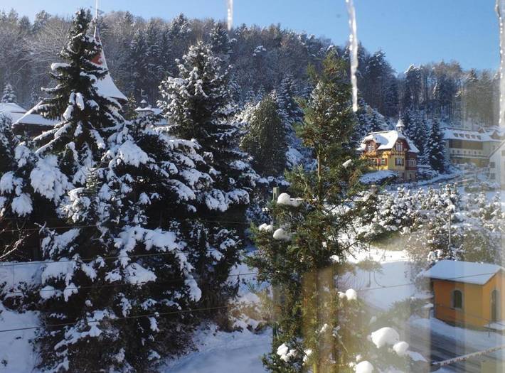 Ferienwohnung für 4 Personen, mit Garten und Ausblick sowie Sauna in Rathen - 3