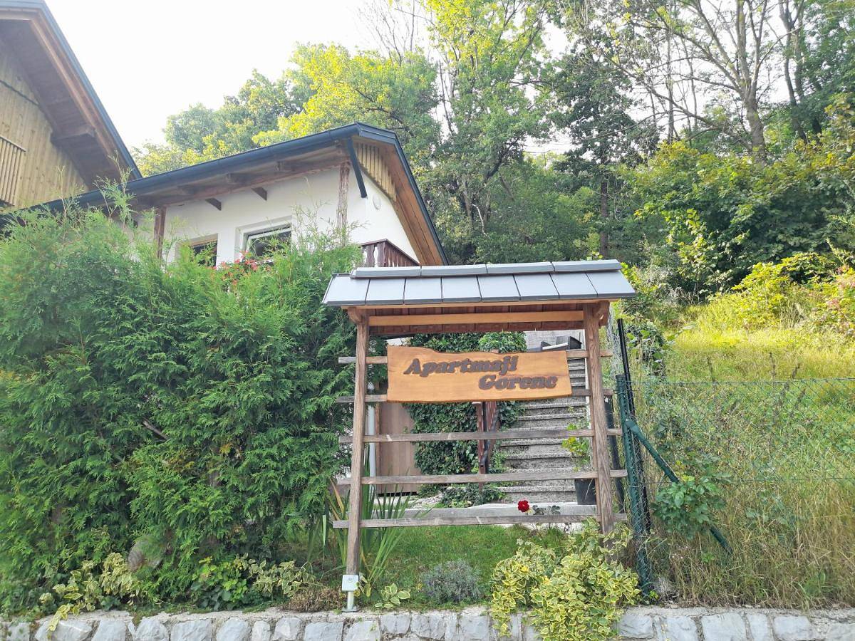 Ganze Wohnung, Apartmaji Gorenc in Bled, Triglav Nationalpark