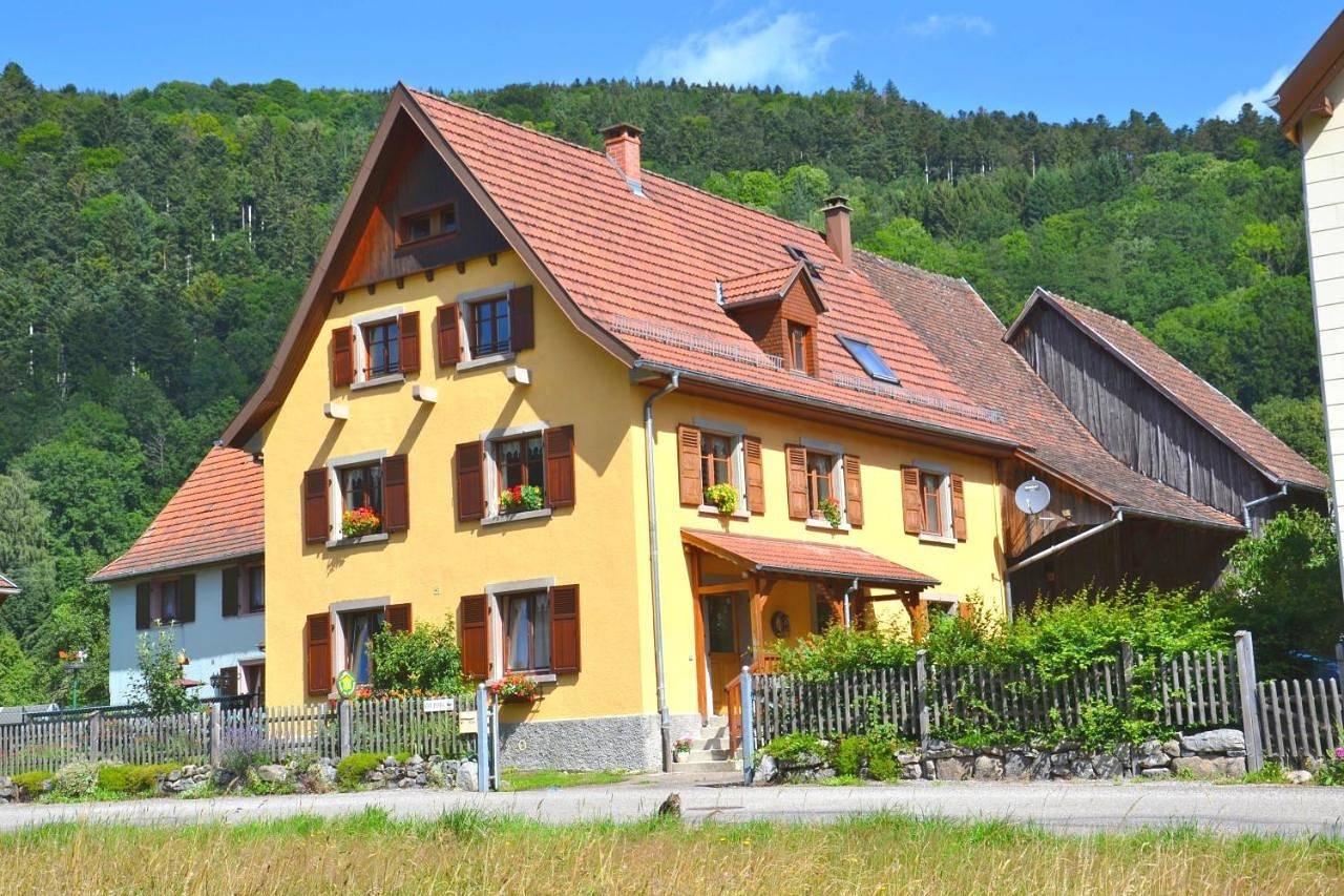 Appartement entier, One-Bedroom Apartment in Metzeral, Parc naturel régional des Ballons des Vosges