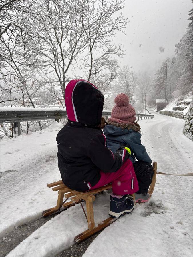 Gîte pour 5 personnes, avec vue et jardin, animaux acceptés à Canal San Bovo - 2