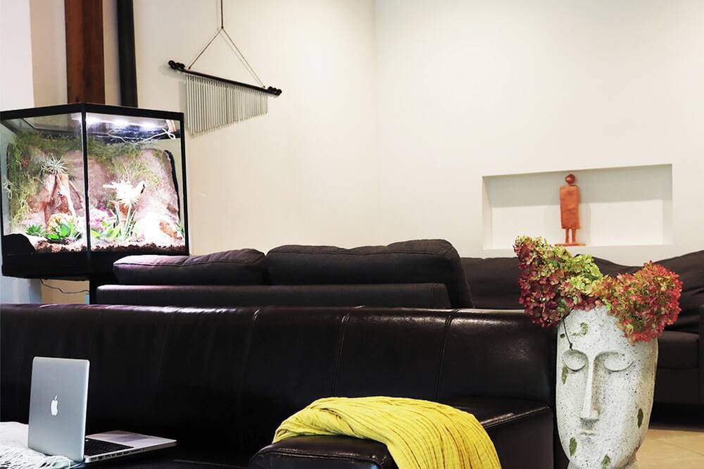 Natur-Ferien-Haus Klein Rosenburg 120qm, Kamin, 100Mbit Wlan, eingezäunt. Garten in Barby, Elbe-Börde-Heide