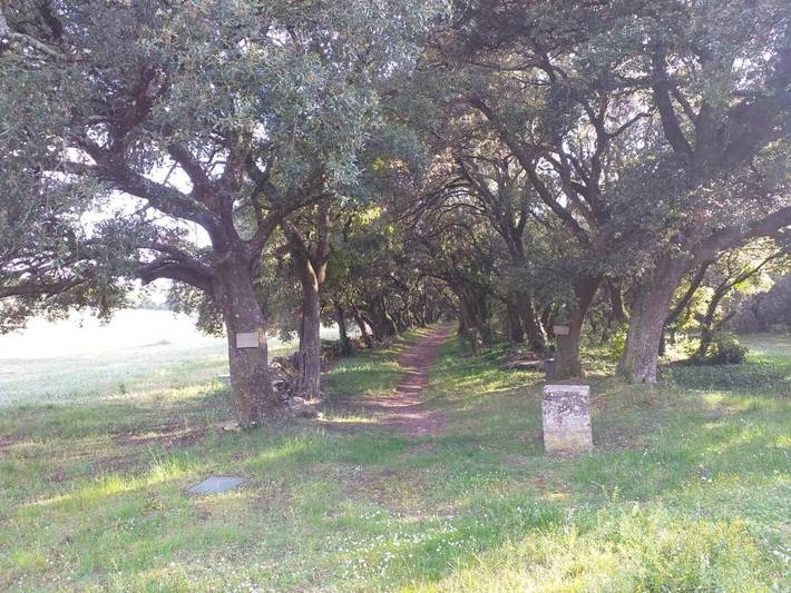 Gîte pour 2 personnes, avec jardin ainsi que terrasse et vue à Grignan - 4
