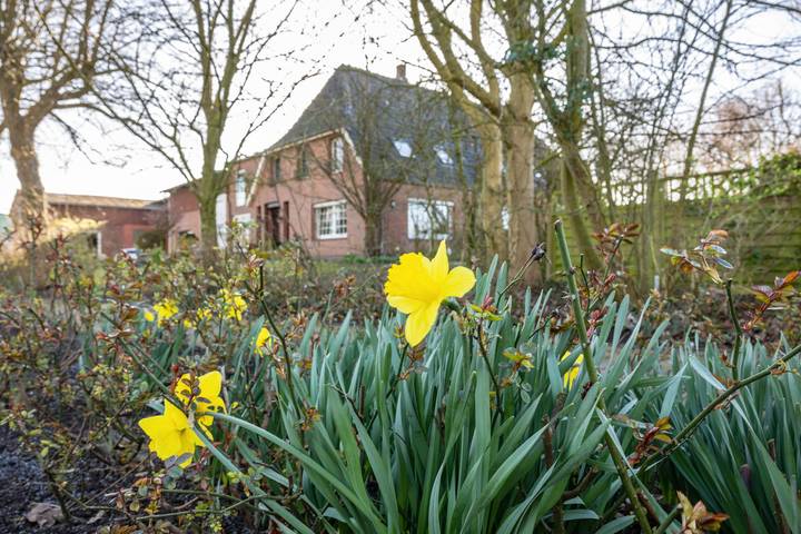 Ganze Wohnung, Ferienwohnung 'Schimmelreiter' mit Privatterrasse, Gemeinschaftsgarten und Wi-Fi in Schülp, Eider-Treene-Sorge