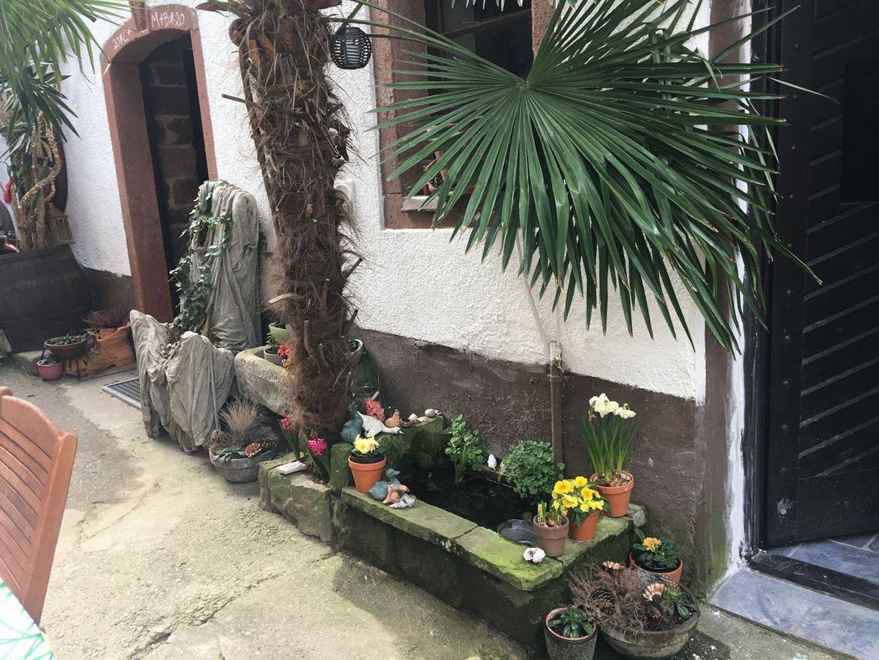 Ganze Ferienwohnung, Feriengut Trinkstorch - Fewo 2 in Leinsweiler, Trifelsland