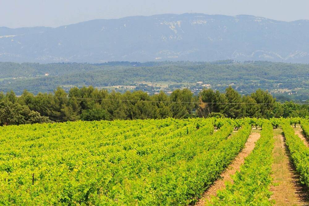 La Tiny House des Vignes du Château de Vauclaire in Meyrargues, Région d'Aix-en-Provence