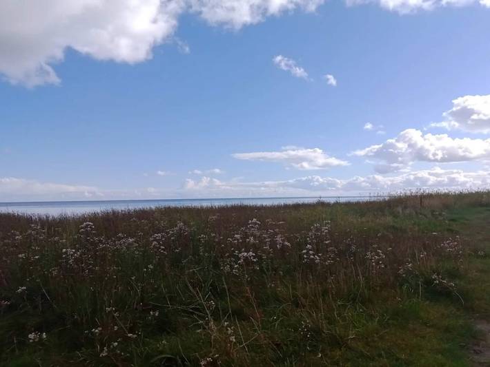 Ferienhaus für 6 Personen, mit Garten und Terrasse, mit Haustier in Øster Hurup - 3